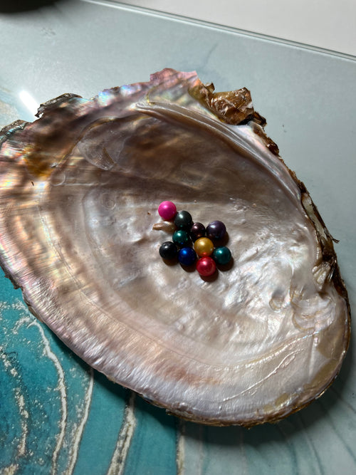 Coloured Round Pearl Oysters